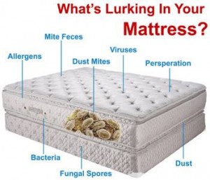 mattress cleaning